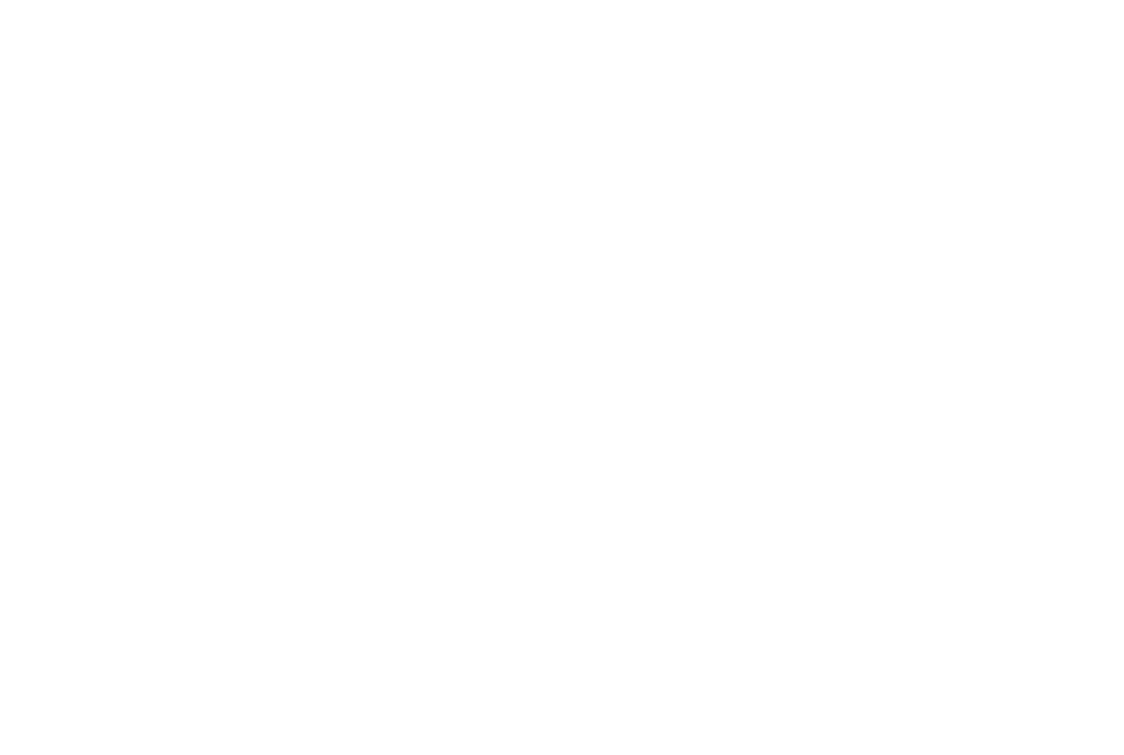 Nimesis Technology